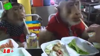 ЛУЧШИЕ ПРИКОЛЫ  только тут самые самые