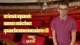 C'est quoi une NICHE PARLEMENTAIRE ?