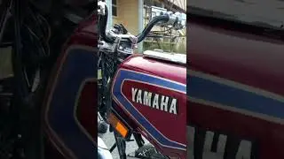 pecinta RX king