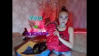 Уход за одеждой собаки/Стирка грязных комбинезонов/Той- терьер Тайсон