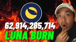 TERRA LUNA CLASSIC BURN ! THE BIGGEST COMEBACK RECOVERY IN HISTORY !