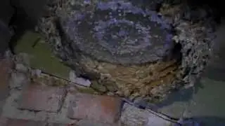 Usuwanie dużego gniazda os