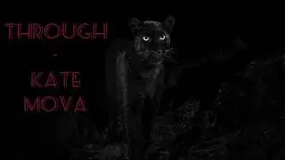 Through - Kate Nova (edition for EverNight)