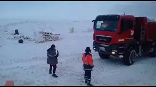 Сабетта белый медведь