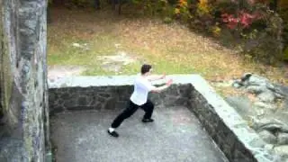 18 hands of small lohan boxing