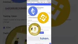 Your own custom NFT marketplace + domain! (no coding)