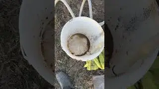 💩Fixing A Crack In Our Septic Sewer Line.