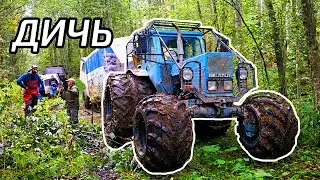 Ралли оффроад по лесным дорогам