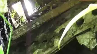 1981 Panamanian Air Force Twin Otter Crash Site - Visited in 2014