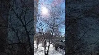 НЕУЖЕЛИ ВЕСНА???