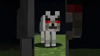 ¿POR QUÉ LOS LOBOS TE ATACAN CUANDO LOS GOLPEAS? 