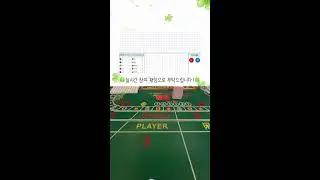 하시모토 아리나와 데이트
