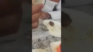 Qazagizstonda istlarga ish yo'q ekan