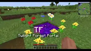 bruh moment (minecraft twilight forest)
