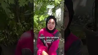 Suara Lidah Mertua