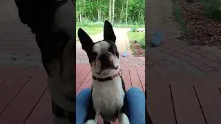 ВЕСËЛЫЙ ДЕНЬ😉