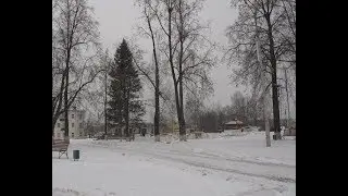 Установка городской елки