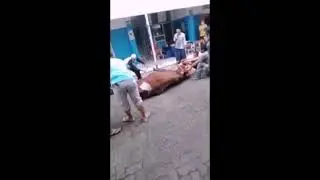 IEDHUL QURBAN 1443 H SD SUMBANGSIH GROGOL
