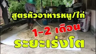 สูตรหัวอาหารหนู/ไก่ 1-2 เดือน ระยะเร่งโต โปรตีน 18 % วัตถุดิบน้ำหนักรวม 100 กก.