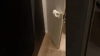 заказы из Казани реализация в Москве
