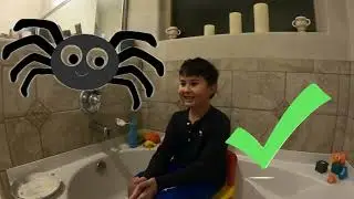 Family Fun Pie Face Game Trivia Challenge