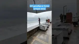24 декабря в Сочи / новый шторм века