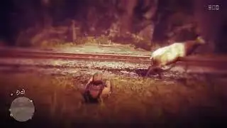 Red Dead Redemption 2 Elk Attack
