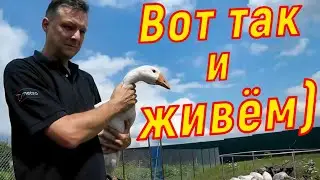 Канал 