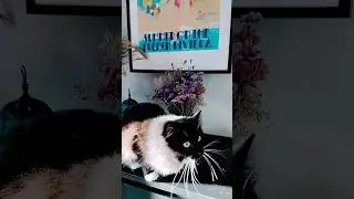 Меняю новогодний декор на сухоцветы. #дневникдекоратора