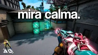 O Segredo da Mira Calma
