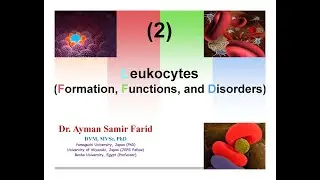 Leukocytes lecture. Dr. Ayman Samir (Part 2)