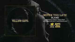 Never Too Late - Blame