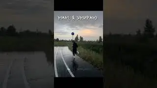 #лошади#моялюбовь#рекомендации#подпишись#конныйспорт#мояжизнь