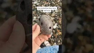 Hunting for Hagstones in Wales 🏴󠁧󠁢󠁷󠁬󠁳󠁿 🌊 #hagstones #wales #vlog #foraging #beach #whimsical