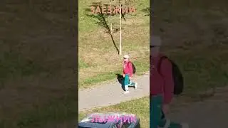 5 сентября 2024 г.