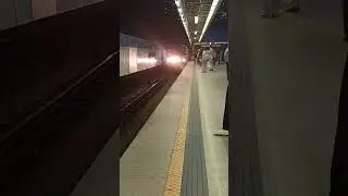 Петровщина прибытие поезда 81/717 Номерной
