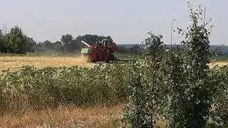 Часть 2 . Уборка ячменя . Ск 5 нива