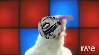 Chicken Song Dead Inside