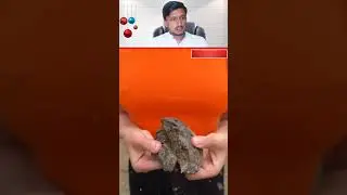 Shock!😱! She uses cow POOP!🐄💩#camping #survival #bushcraft #outdoors #lifehack