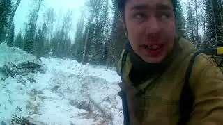 Т 130 - дорога по вырубам.......часть 3