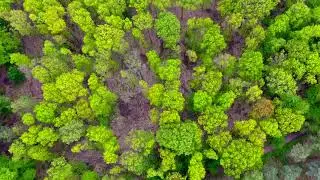 Drone Teaser For Upcoming Volca Show (13 July 2019)