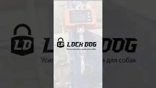 LockDogspb прочность карабина