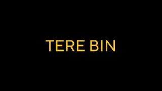 Tere Bin | KingShu Official Song