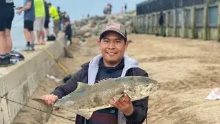 PESCA DE BLUE FISH, 2021.Mira la pelea que dan estos peces. Fishing FOR BLUE FISH.