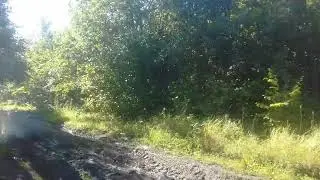 Лайт. Ищем грязь.
