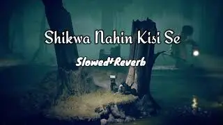Shikwa Nahin Kisi Se Kumar Sanu Slowed+Reverb, #slowedandreverb #slowed #slowedreverb