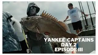 Pulley Ridge Day 2 on the Yankee Capt - Snowy Grouper, Golden Tile, Barrel Fish, Queen Snapper +++