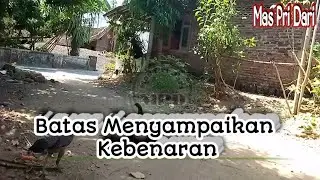 Batasan Menyampaikan Kebenaran ?