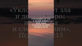 СТИХ ДНЯ