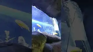 красивые рыбки😊😊😊